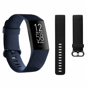 fitbit cost
