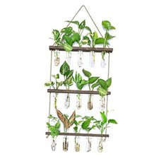 Wall Hanging Propagation Station with Wooden Stand 5 Glass 15 Tube Vases Brown