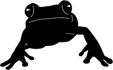 Frog Decal STM3 Vinyl Window Graphic Nature Swamp Animals for Truck Laptop Car