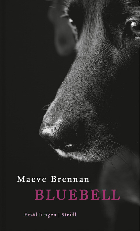 Thumbnail - Bluebell Maeve Brennan