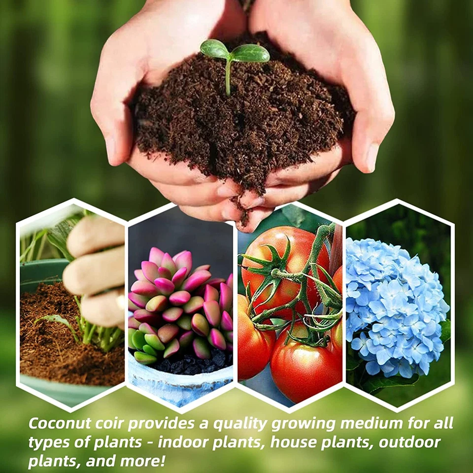 Lote de ladrillos de fibra de coco orgánicos 1-16 fibra de coco medio de cultivo para macetas suelo mascotas Foto 4 de 4