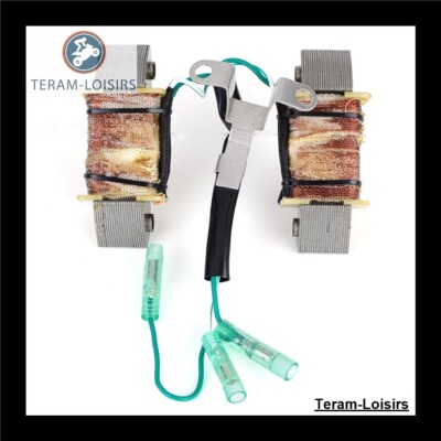 Stator Lichtmaschine für Yamaha 9.9 HP FT9.9D M(E/W)HS / L / XL von 1999 bis 2008