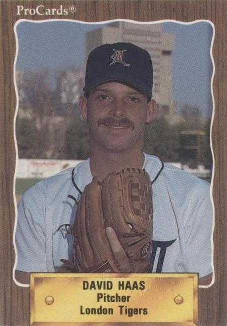 1990 ProCards Minor League - Dave Haas #1263 - 1 of 1