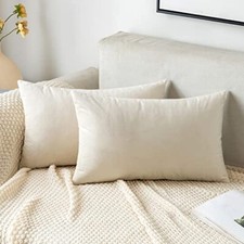 Pack of 2 Velvet Throw Pillow Covers 12x20 Inch Pack of 2 Cream White