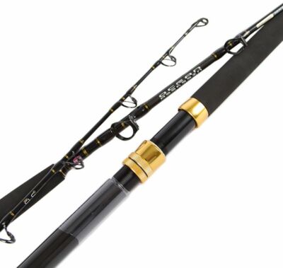 Penn Ocean Assassin Game Series Overhead Rod 6' 15 Kg 1495256 1