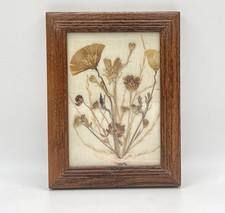 Vintage Pressed Dried Flower Botanical Art Oak Frame Cottagecore Boho Rustic