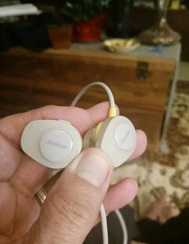 Boss Brand Ear Buds