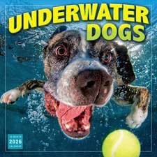Sellers Publishing,  Underwater Dogs 2026 Wall Calendar, 12'' X 12'', 16-Month C