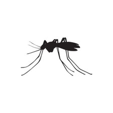 Mosquito Insect Pest - Vinyl Decal Sticker - Multiple Colors  Sizes - ebn2899