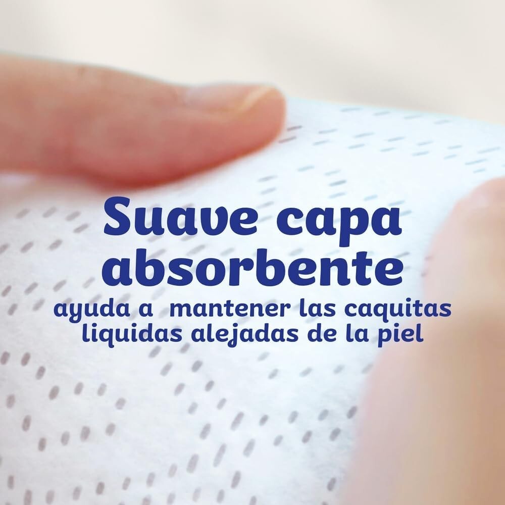 Imagen 2 de 9