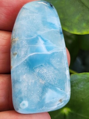 Larimar Delfin polierter Stein AAA + atemberaubender Edelstein PERLMUTT SELTEN echt