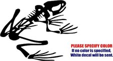 Frog Skeleton Decal Sticker JDM Funny Vinyl Car Window Bumper Truck Laptop 10"