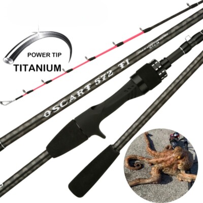 Light Saltwater Jigging Rod ML L Squid Boat Fishing Sensitive Titanium  Tip