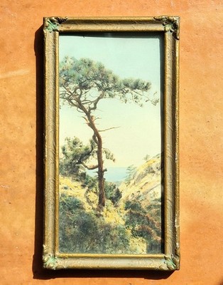 FREDERICK W. MARTIN Hand-Tinted Hand-Color Photo Torrey Pines 8.75'' x 4.75'' VGC
