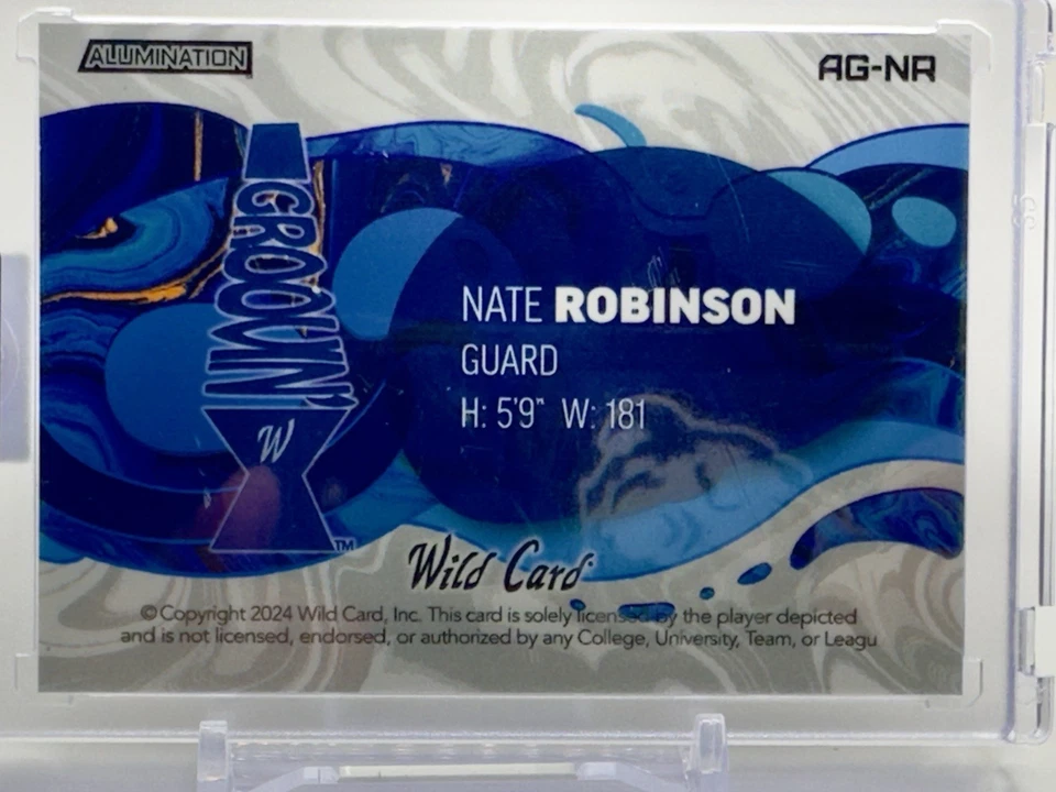 Comodín Nate Robinson Alumination GROOVN 2024/3 Estuche Hit Knicks Foto 3 de 3