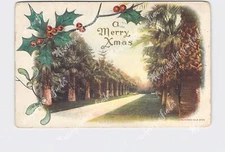 PPC Postcard CA California Beverly Hills Palm Drive Merry Xmas Christmas Embosse