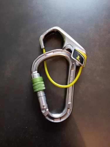 Edelrid Karabiner mit Sicherungsgerät 