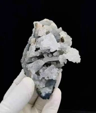 Natural Coral Chalcedony Minerals