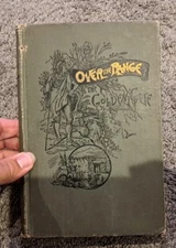 Over the Range to the Golden Gate Stanley Wood 1891 Rocky Mountains Colorado