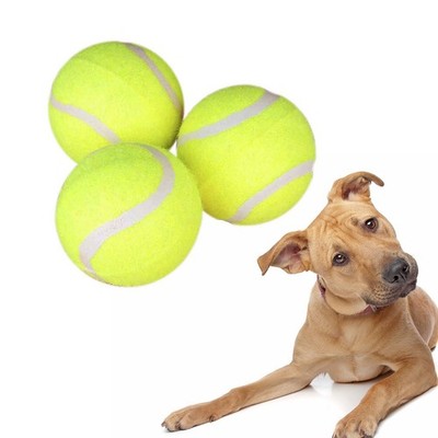 3 Pcs Fetching Toys for Dogs Tennis Chewing Green Small