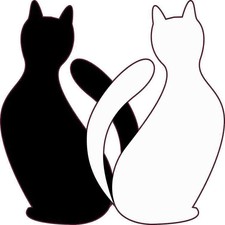 5X5 Black and White Cats Sticker Vinyl Cup Decal Stickers Animal Bumper Decals