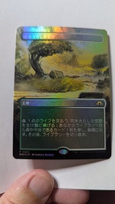 1x Windswept Heath BORDERLESS FOIL JAPANESE NM MH3 - Magic MTG EDH Modern x1