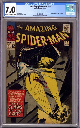 The Amazing Spider-Man Vol 1 30 CGC 7.0 (FN/VF) (1965)