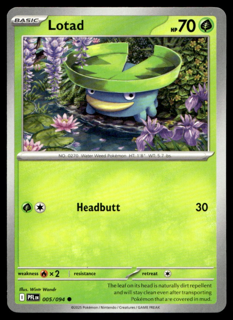 Lotad 005/094 Common Phantasmal Flames Pokemon Near Mint