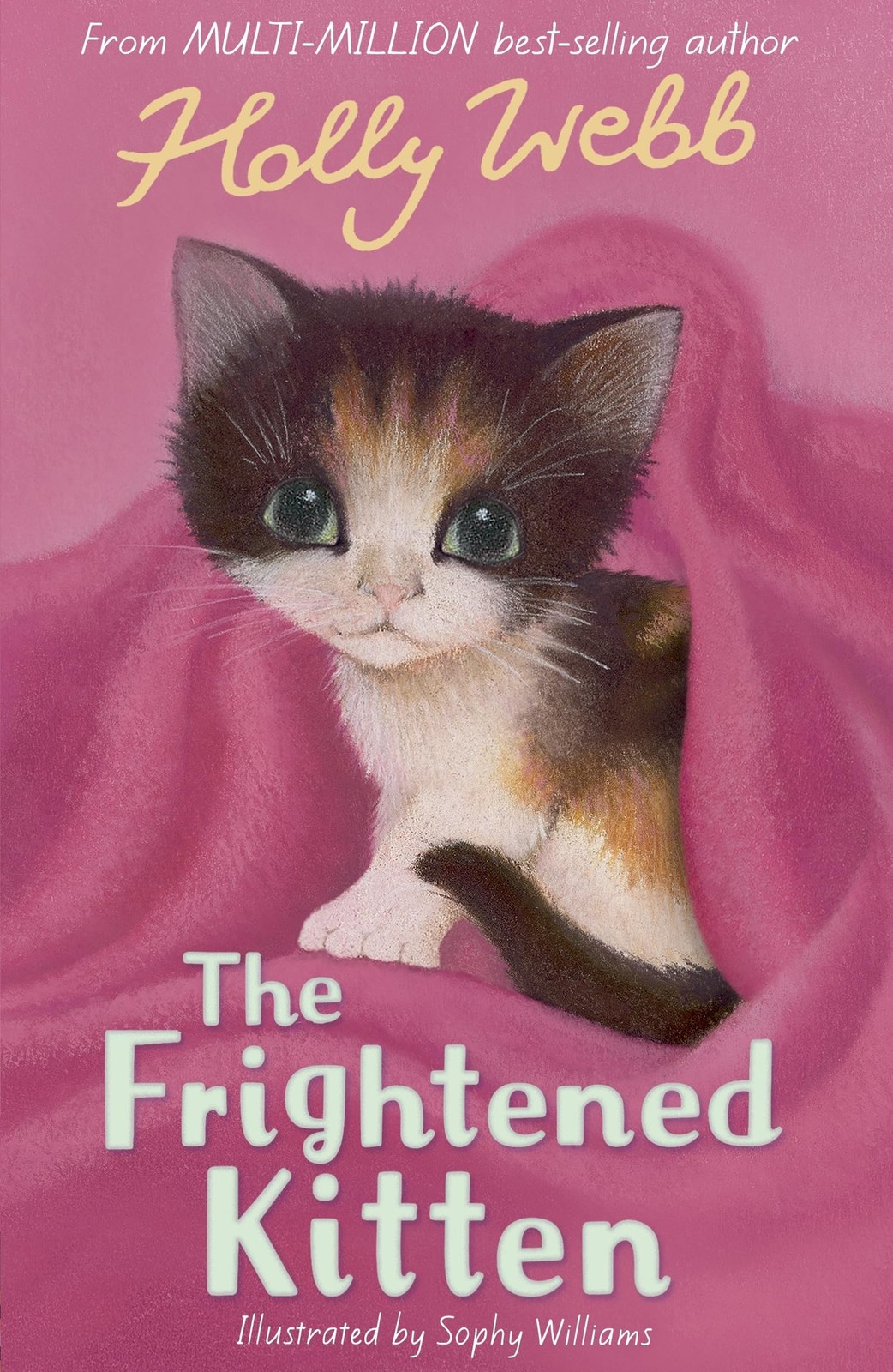 The Frightened Kitten by Holly Webb (Paperback Book) - Image 8