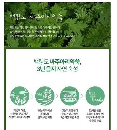HOLIKA HOLIKA Pure Essence Mask Mugwort Pack 23ml(0.77oz)x40Sheet Soothing Purif - Picture 5 of 7