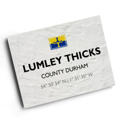A4 DRUCK - Lumley Thicks, County Durham - Lat/Long NZ3050