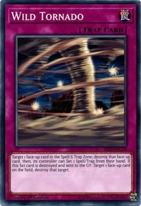 Wild Tornado - SS02-ENC18 - Common - 1st Edition x3 - Near Mint