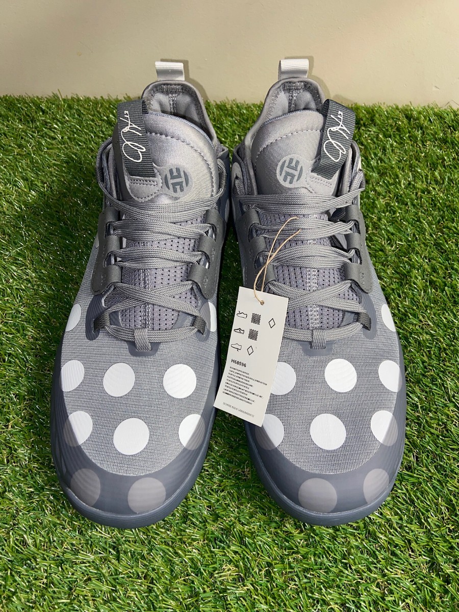 Adidas Harden Vol. 5 Futurenatural Grey Polka Dot Basketball H68596 Men NEW s-l400.jpg main image 2