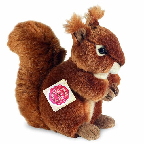 red squirrel teddy