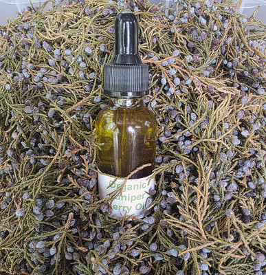 Wild Harvested Organic  Juniper Berries Infused Oil