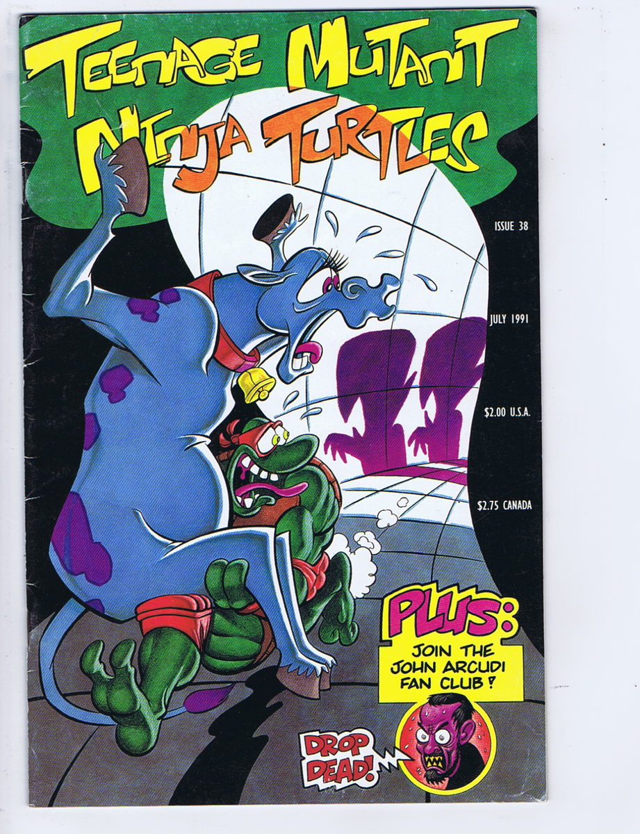 アメコミ aaaa Teenage Mutant Ninja Turtles #38 Mirage 1991 Spaced Out ! | eBay