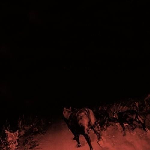 7835355 Audio Cd Bambara - Shadow On Everything