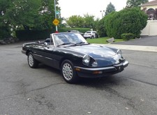 1989 Alfa Romeo Spider for Sale