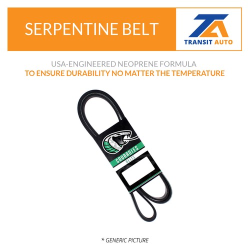 Main Drive Serpentine Belt For Volkswagen Audi Tiguan Toyota Jetta Corolla Golf - Bild 3 von 7