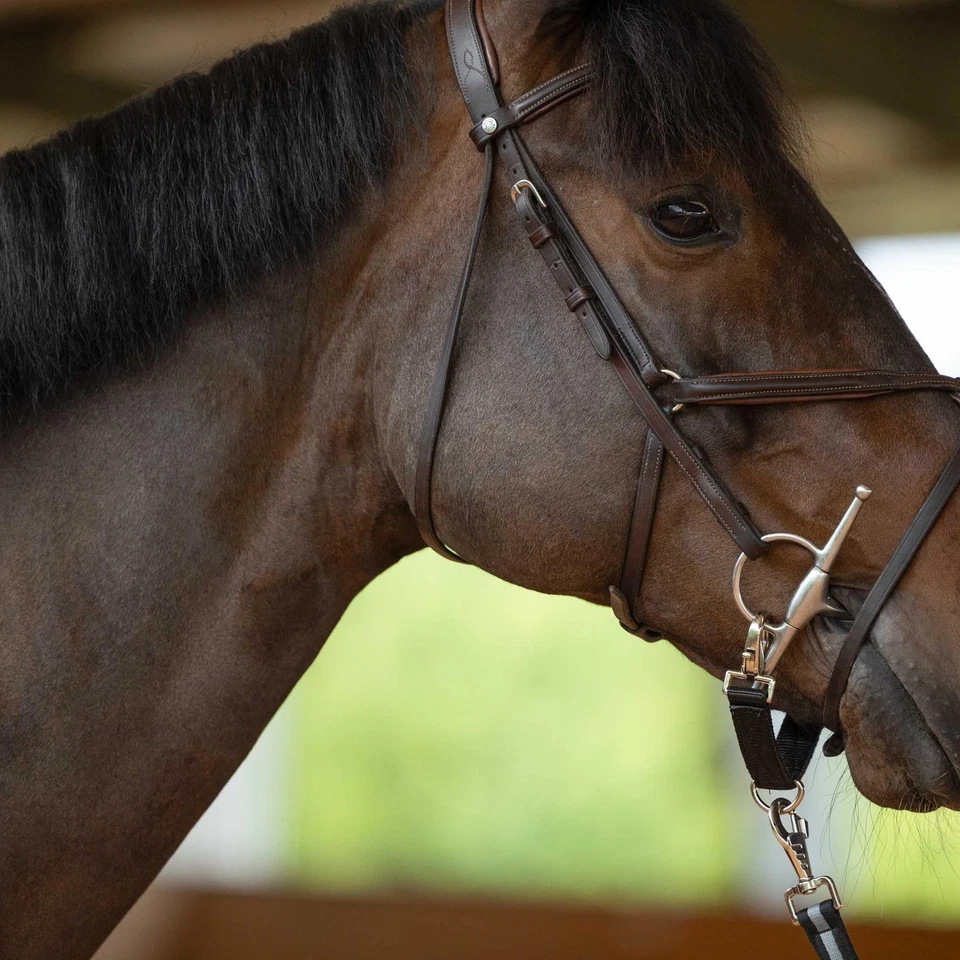 Correa de estocada para línea de estocada de caballo Foto 2 de 2