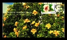 FDC COVER TROPICAL FLOWERS CHINESE HIBISCUS 33 CENT POSTAGE