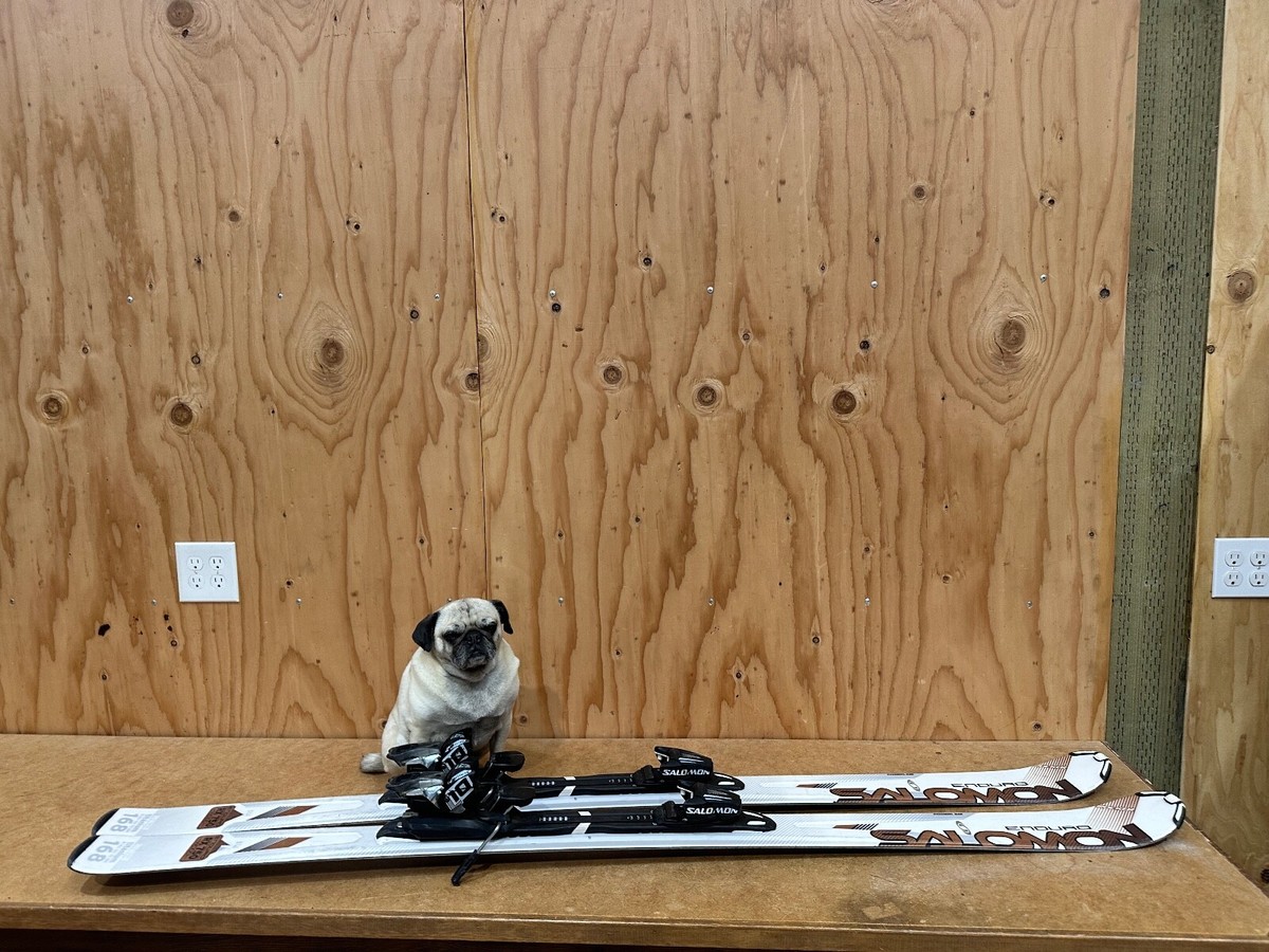 Salomon Enduro RX 750 Wood Titanium All Mountain Rocker Skis Salomon Enduro RX 750 Wood Titanium All Mountain Rocker Skis