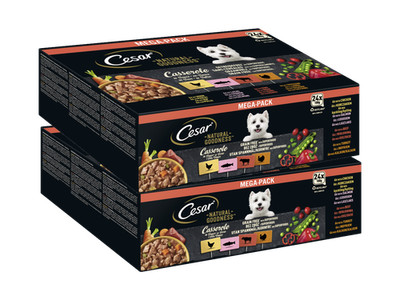 48x100g Cesar Hundefutter Nassfutter NATURAL GOODNESS Schale Casserole in Sauce 
