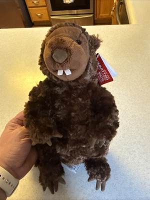 #ad #ad Gund Brown Beaver Plush Stuffed Animal Lovey Kohl’s Cares 10” Soft NWT Rare $11.99