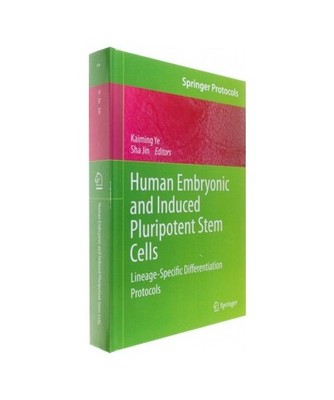 Human Embryonic and Induced Pluripotent Stem Cells: Lineage-Specific Differentia