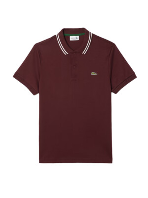 Lacoste Men's Regular Fit Pima Cotton Polo in Expresso Brown DH5922-51 BZD