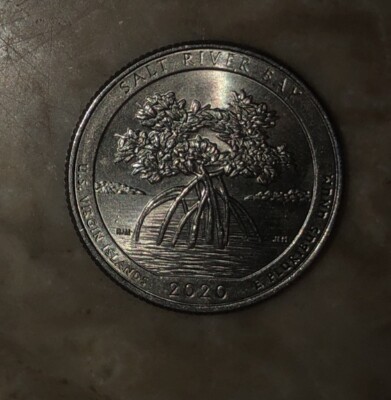 2020 US Quarter Coin 25 cents Virgin Islands Salt River Bay