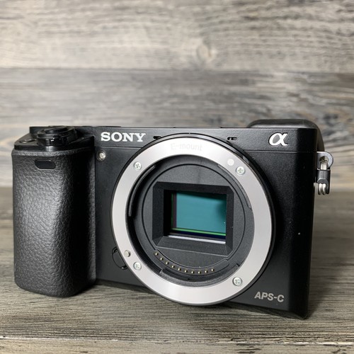 Sony A6000 24.3mp Mirrorless Digital Camera w/ Battery, Charger & Strap