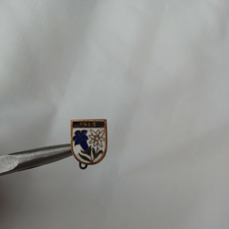 Enamel IGLS PIN
