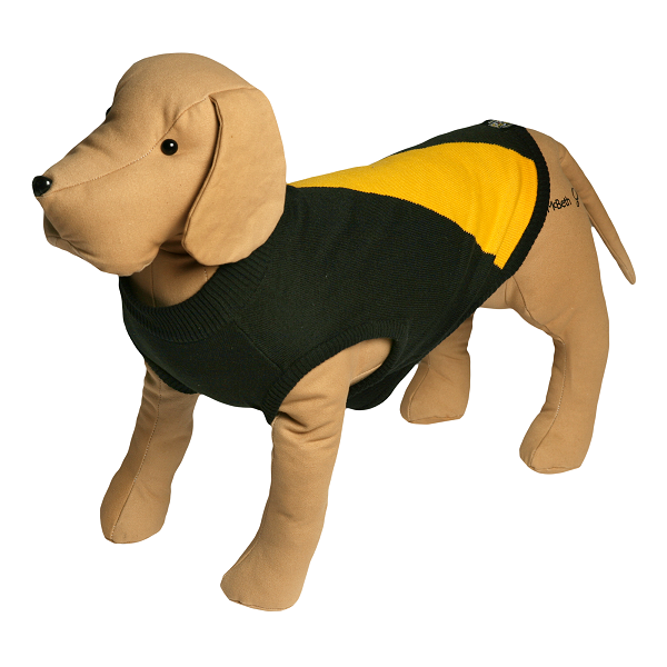 man city jersey 2021